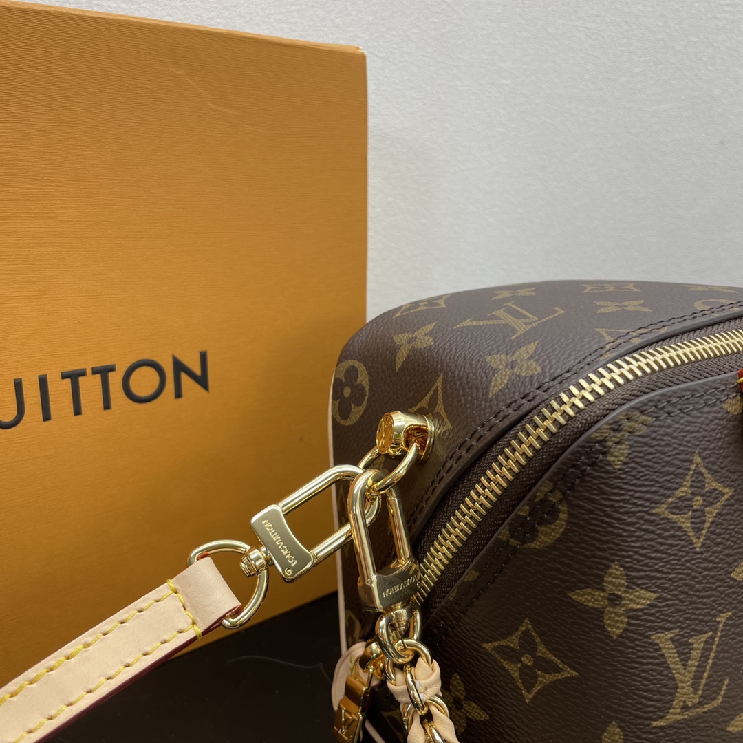 Louis Vuitton Satchel Bags